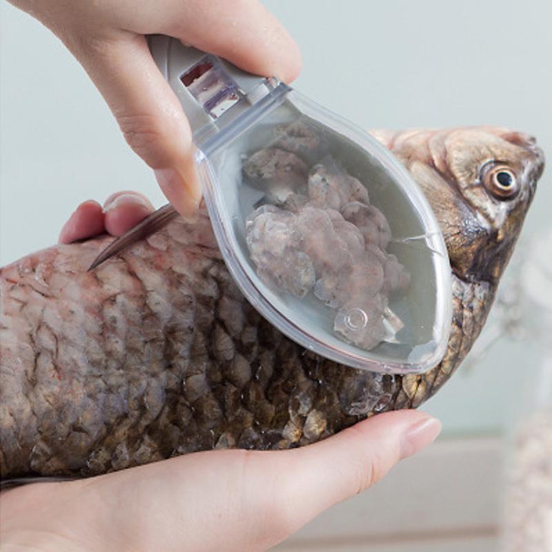 Grattoir à écailles de poisson