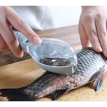 Grattoir à écailles de poisson