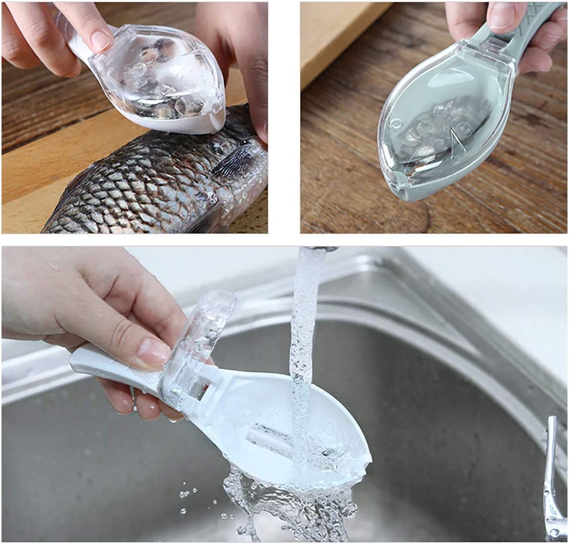Grattoir à écailles de poisson
