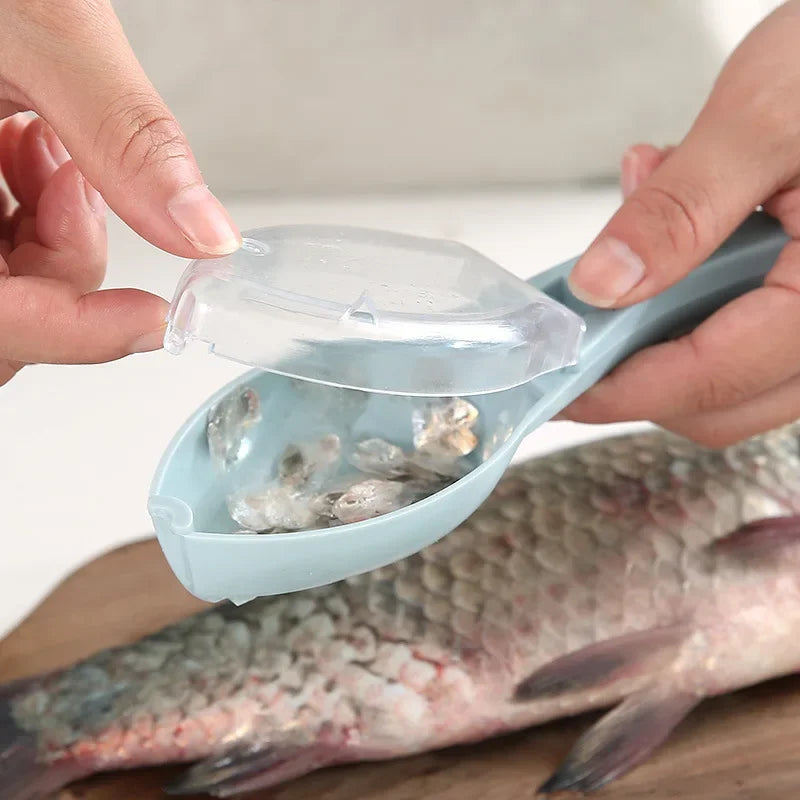Grattoir à écailles de poisson