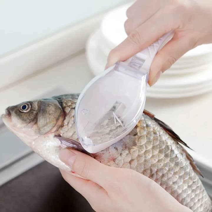 Grattoir à écailles de poisson