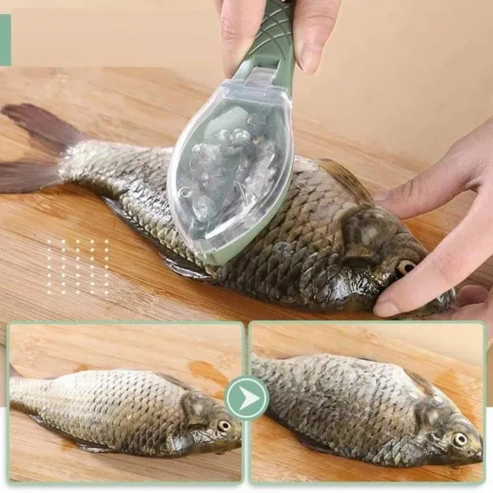 Grattoir à écailles de poisson